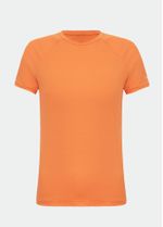 image-e80a3cd9f3ad44cc9dc40fcc63c7504a